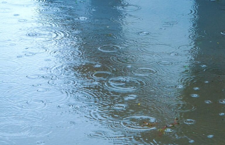 通り雨・にわか雨・驟雨の違いを徹底解説！ | 教えて豆知識